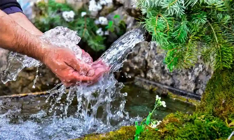 cómo podemos cuidar las fuentes de agua