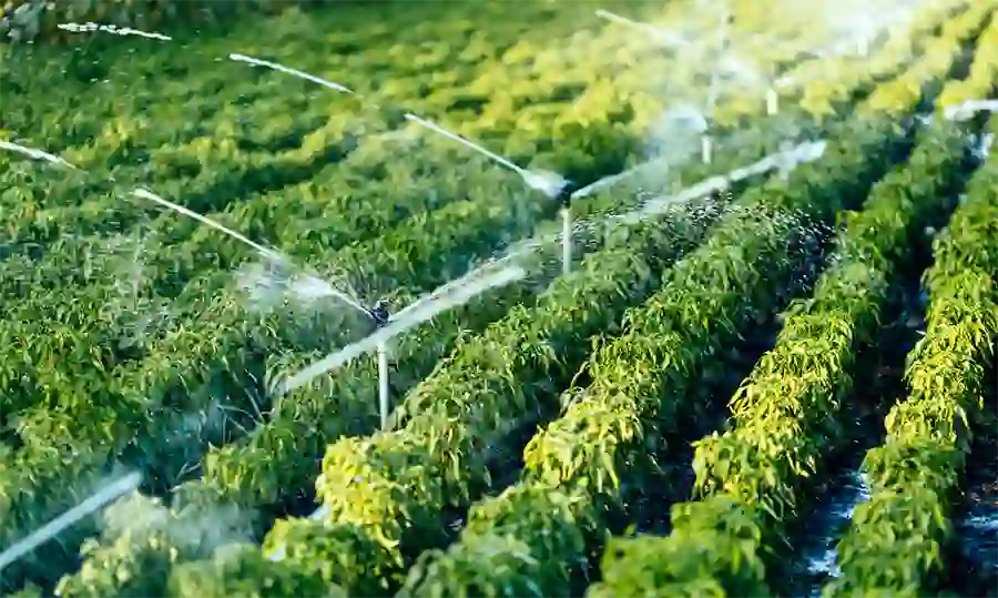 porque se secan los pozos de agua